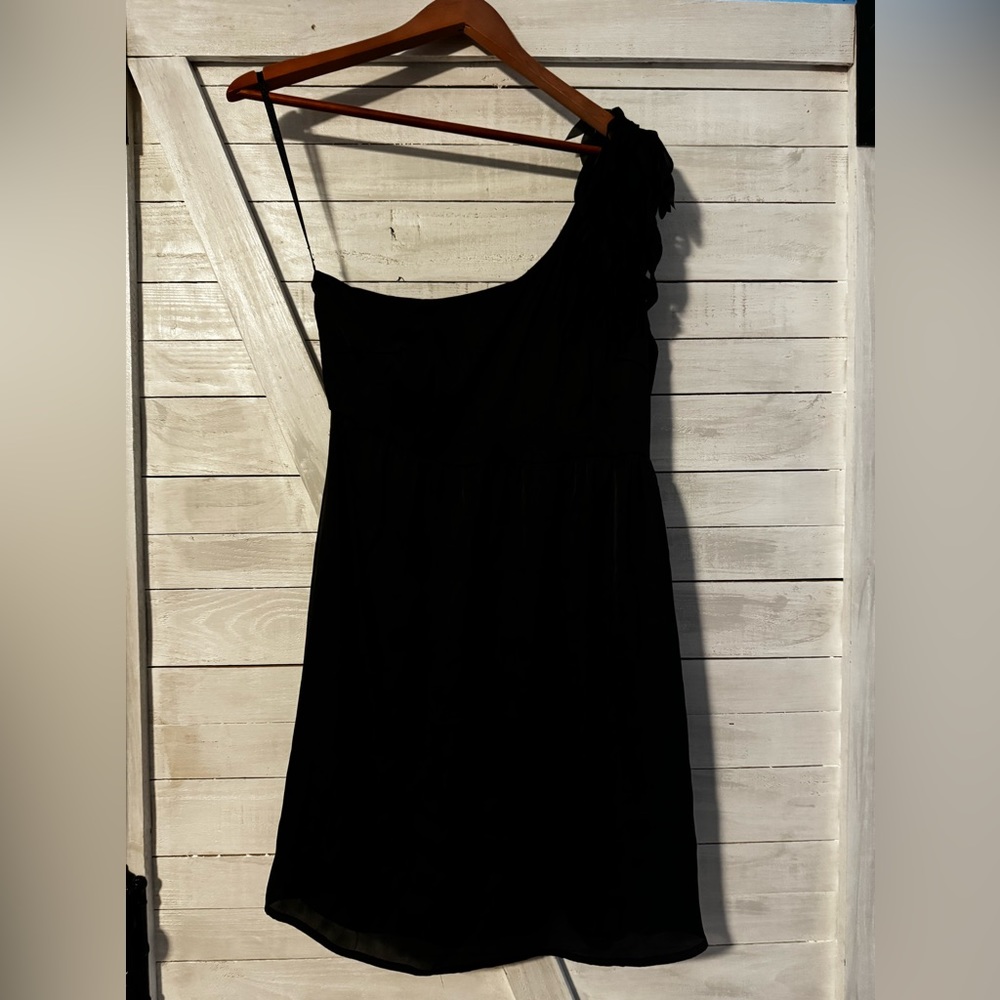 Francescas feathered one shoulder dress